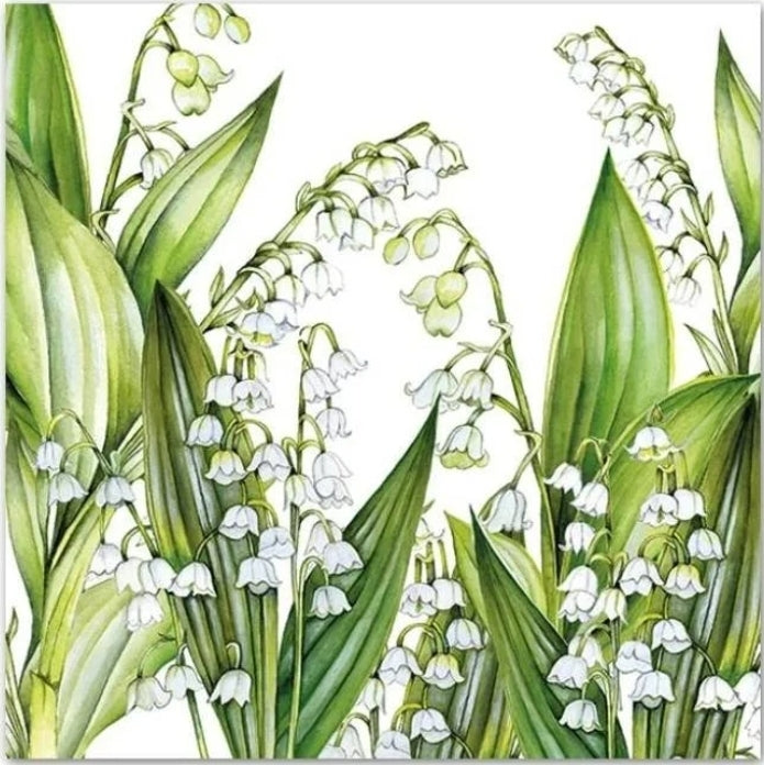 Lily of Green & White Cocktail Size Napkins
