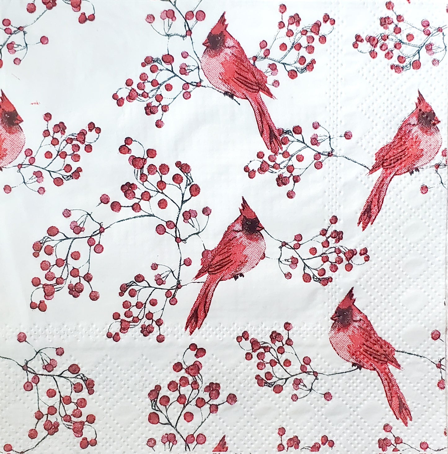 Cardinal Cocktail Size Napkins