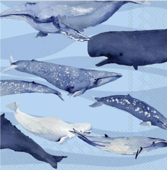 Whales Luncheon Size Napkins