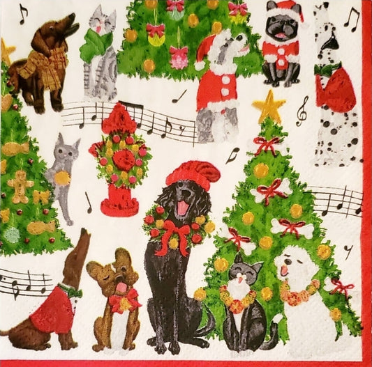 Cats & Dog Carols Cocktail Size Napkins