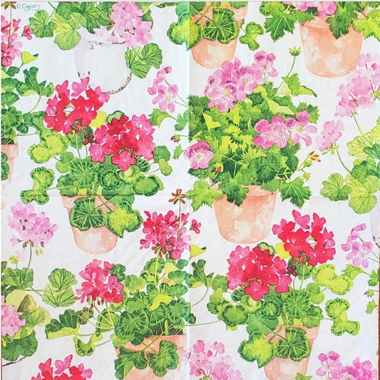 Geranium Flower Pots Cocktail Size Napkins