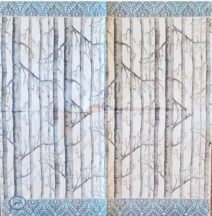 Birch Silver Bark Cocktail Size Napkins