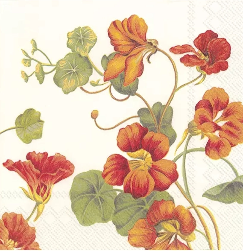 Nasturtium Vintage Flower Luncheon Size Napkins