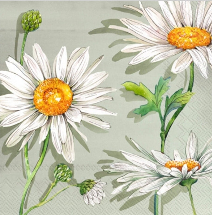 Daisy Cocktail Size Napkins