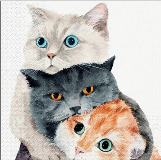 Cat Trio Luncheon Size Napkins