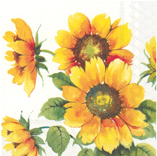 French Sunflower Cocktail Size Napkins