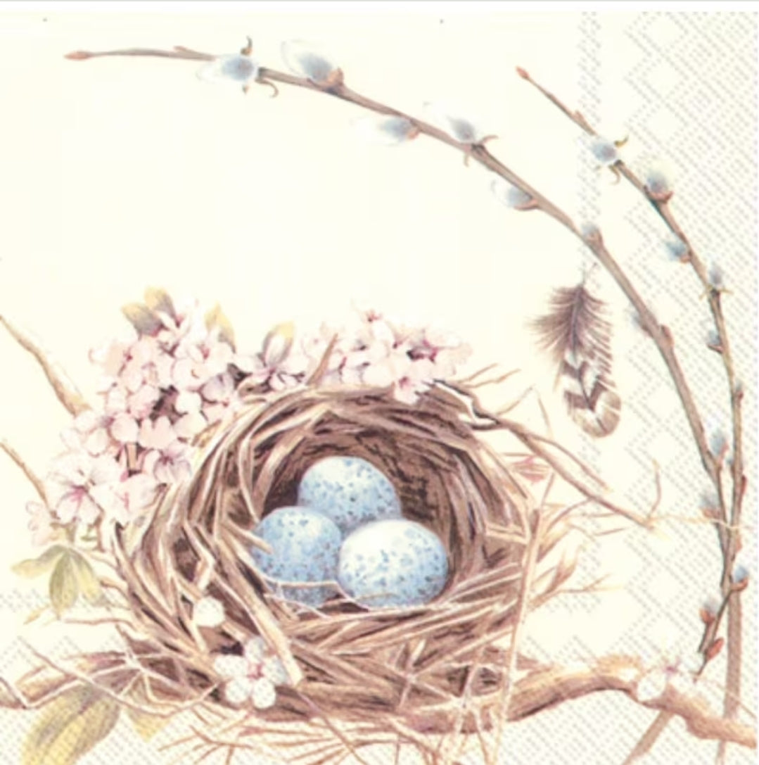 Robin Bird Nest Cocktail Size Napkins