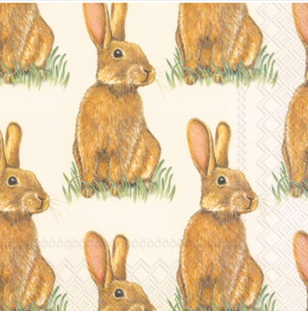 Easter Bunny Hare Luncheon Size Napkins