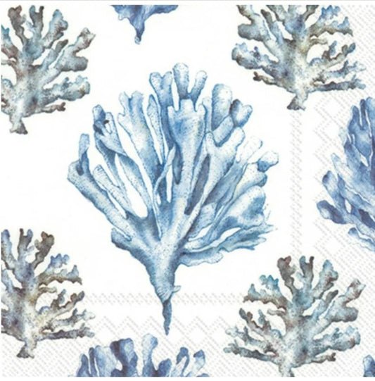 Blue & White Coral Cocktail Size Napkins