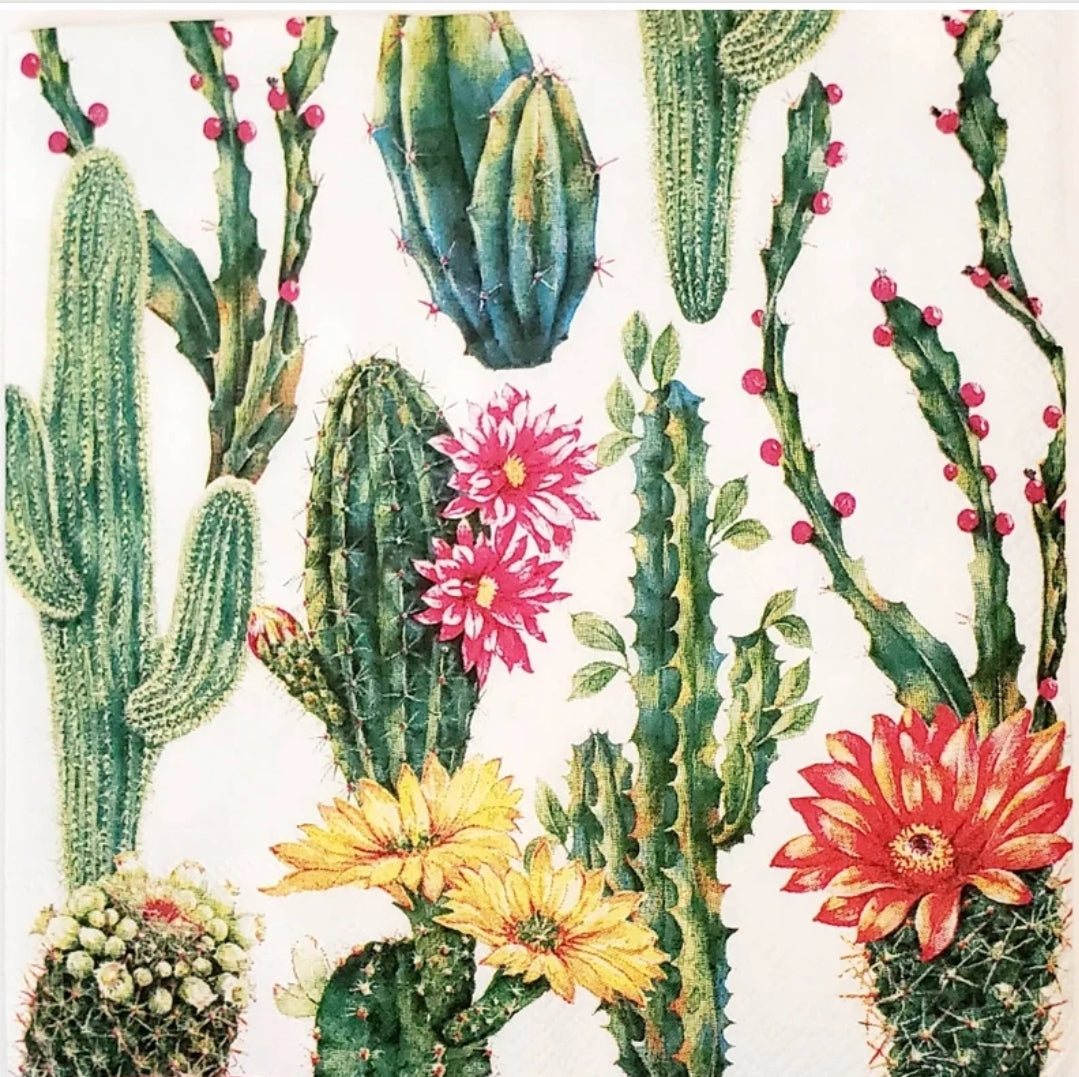 Cactus Flowers Cocktail Size Napkins