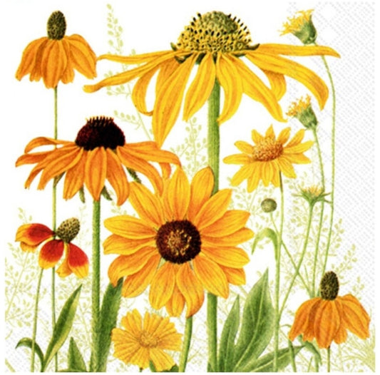 Orange Black Eye Susan Daisy Flowers Cocktail Size Napkins