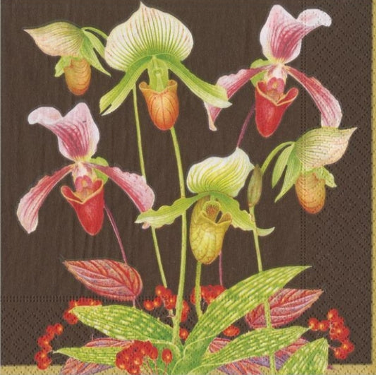 Orchid Cocktail Size Napkins