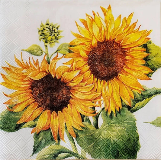 Sunflower French Cocktail Size Napkins