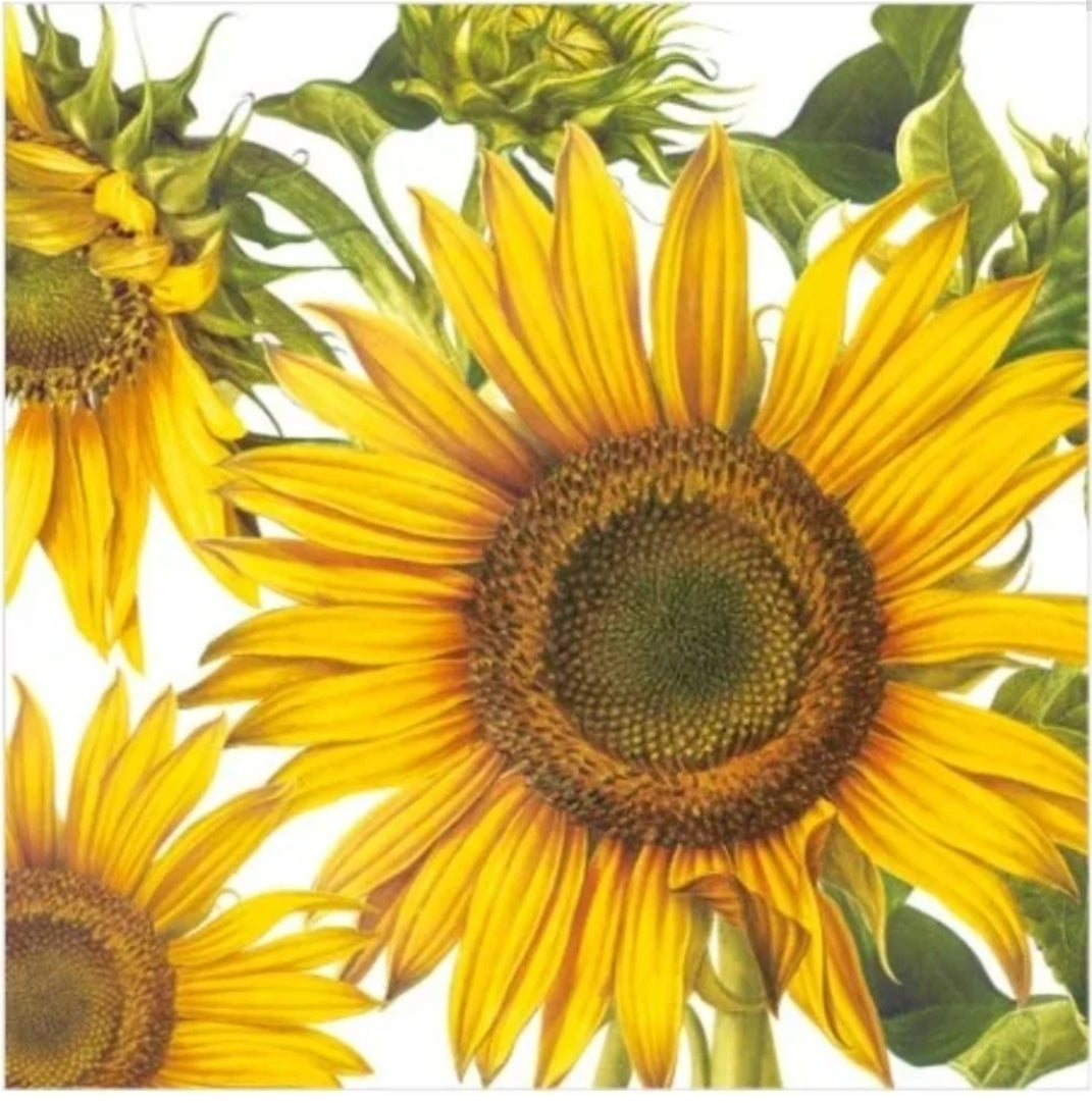 Sunflower Joy Cocktail Size Napkins