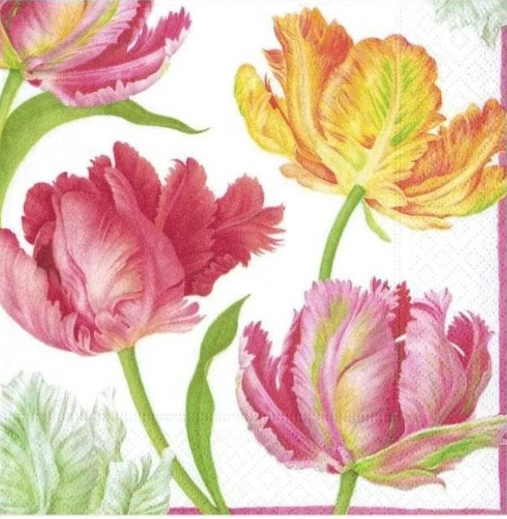 Tulip Flowers Cocktail Size Napkins