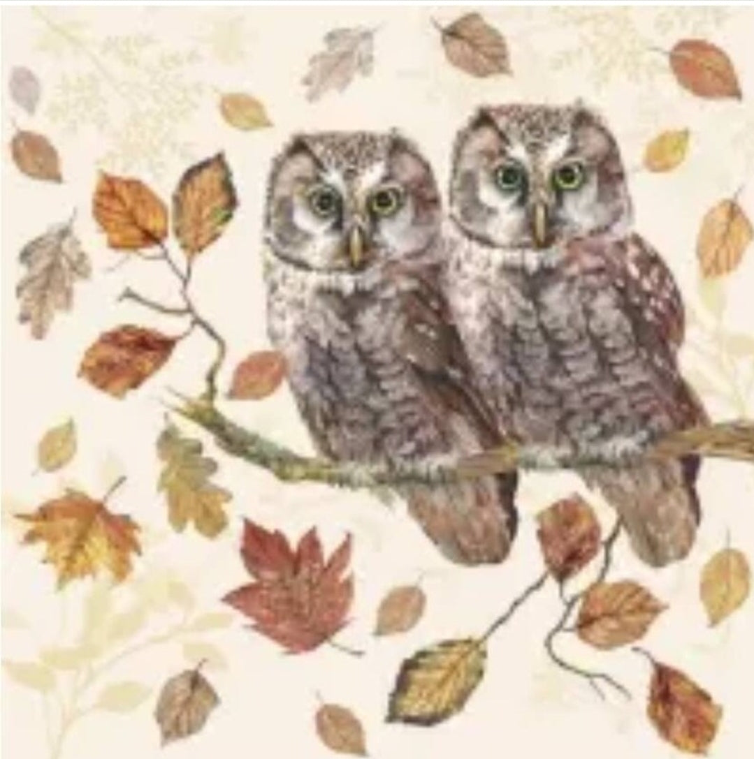 Owl Couple in Autumn Cocktail Size Napkins