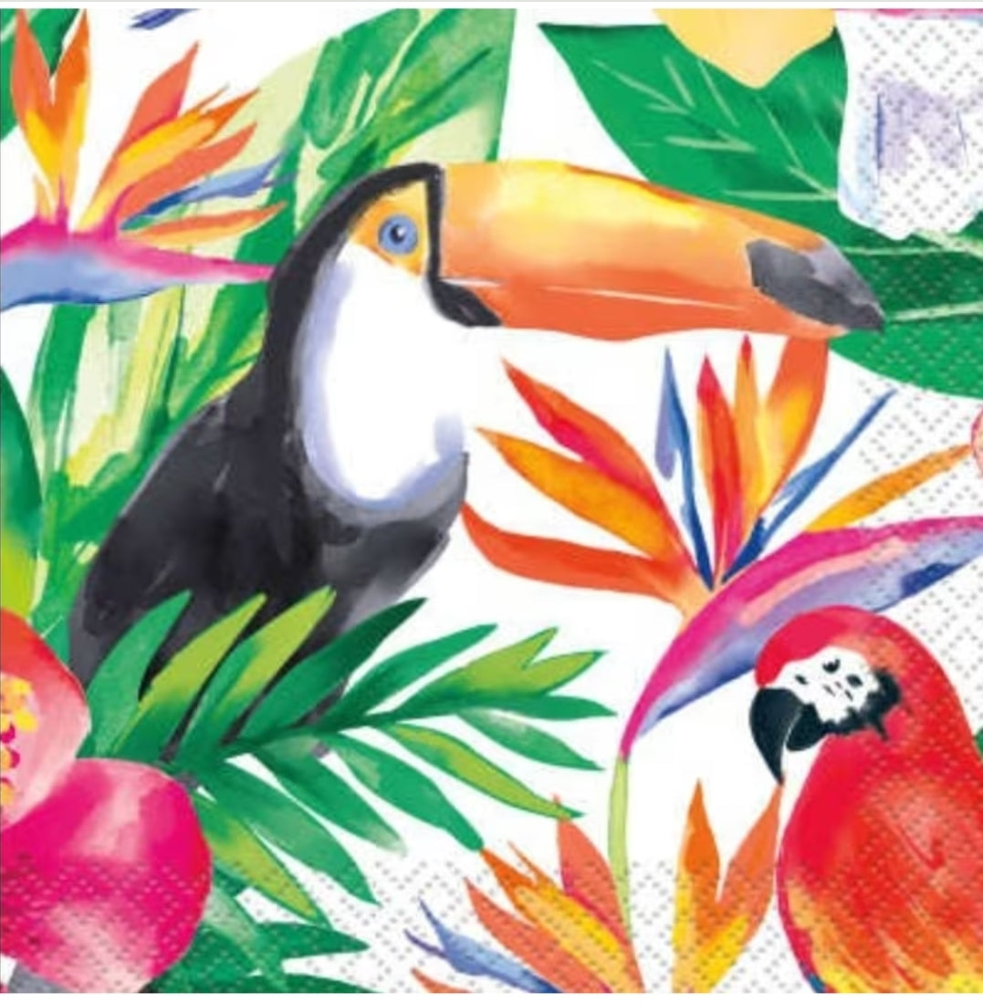 Toucan Cocktail Size Napkins