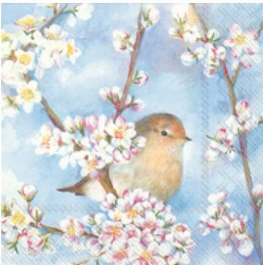 Bird in Spring Blossoms Cocktail Size Napkins