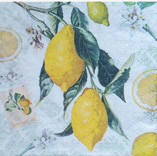 Lemon Fruit Cocktail Size Napkins