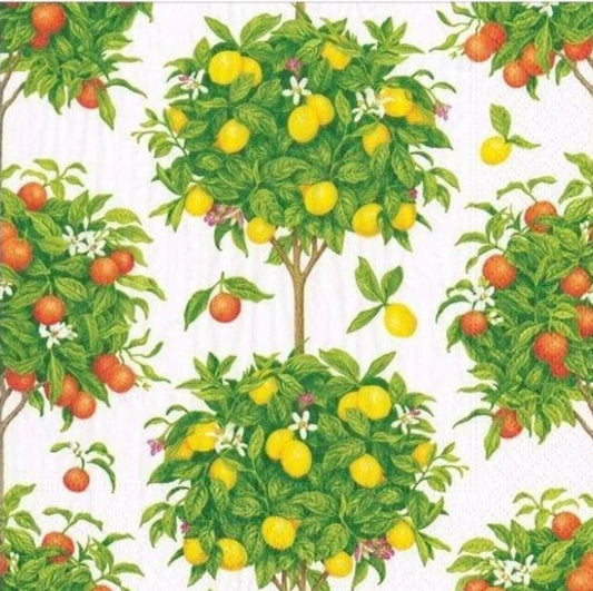 Topiary Lemon & Orange Cocktail Size Napkins