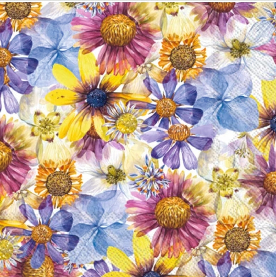 Bright Flowers Daisy Purple Cocktail Size Napkins