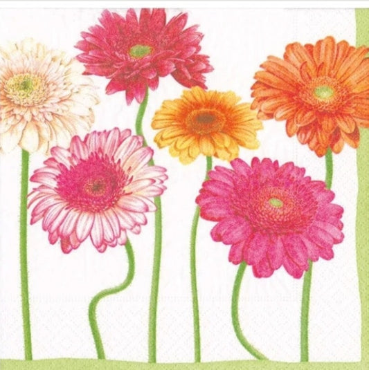 Gerber Daisy Cocktail Size Napkins