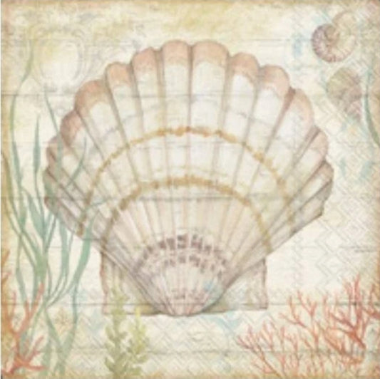 Seashell Cocktail Size Napkins